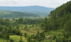 Menikmati Pesona Wisata Indah Sippan di Simalungun, Surga Tersembunyi dengan Rating Tinggi