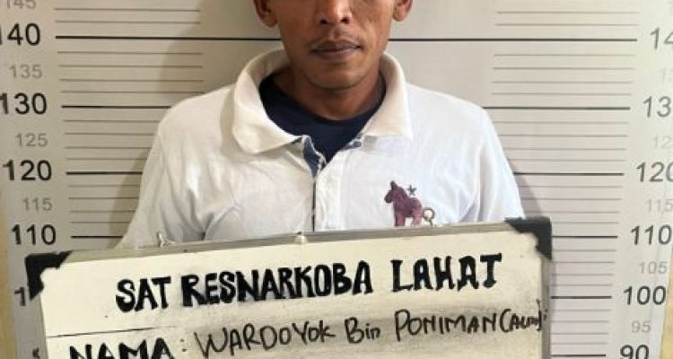 Satresnarkoba Polres Lahat Amankan Buruh Perkebunan, Tanam Ganja di Pekarangan Rumah