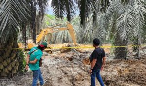 Dipicu Pengeboran Minyak Ilegal, Terjadi Semburan di Desa Kaliberau