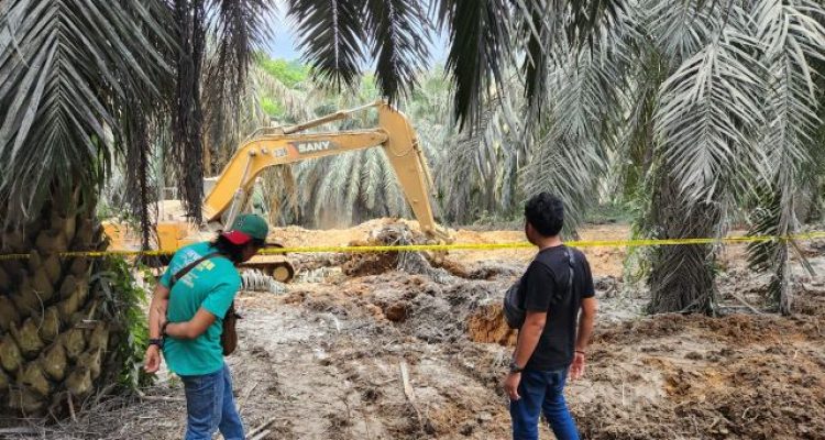 Dipicu Pengeboran Minyak Ilegal, Terjadi Semburan di Desa Kaliberau