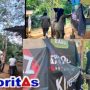 Satpol PP Padangsidimpuan Tertibkan Pondok Tertutup dan Pakter Tuak di Kawasan Wisata Tor Simarsayang